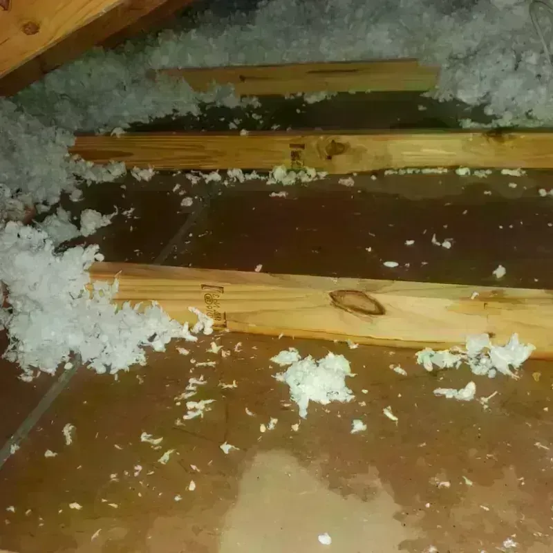 Attic Water Damage in Halstead, KS